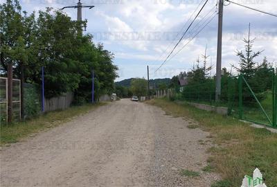Teren intravilan  de vanzare/ Maneciu Pamanteni - 4