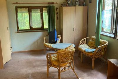 Proprietar, vand casa parter+etaj, 150 mp, curte 3438 mp, Avram Iancu - 4