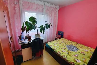 Ap.2 cam.cf1d Progresul - 4