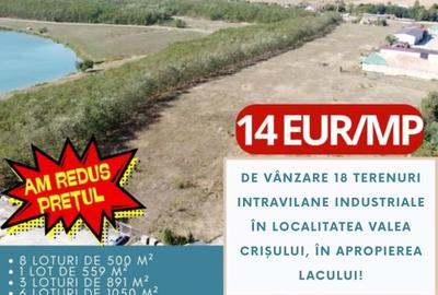 De vânzare  18 terenuri intravilane industriale în localitatea Valea Crișului! - 3