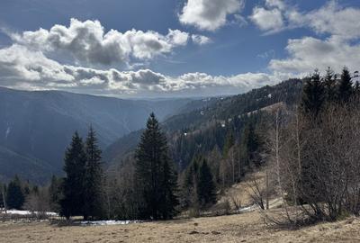 Teren de 5000 mp, în Măguri - 7