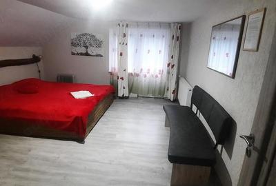 Casă cu Teren 900 Mp în Govăjdia - 9