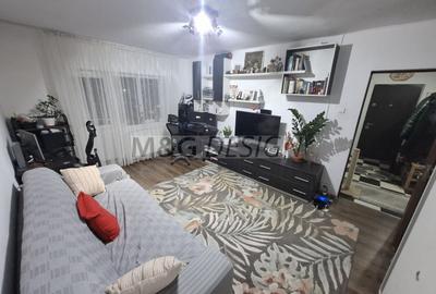 Apartament cu 3 camere decomandat, mobilat în Aradului - 9