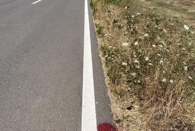 Teren de 15000 mp, în Fierbinți - 2
