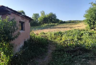 Casa ?i gradina de vanzare in Silva?u de Jos - Ha?eg HD. Rog citi?i descriere anun?ului ! 75 000 EU - 5