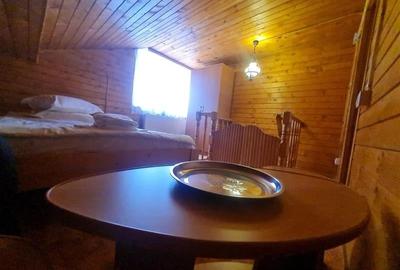 Incadrata de 4.200mp teren, Vila cu potential turistic, in inima Predealului - 25
