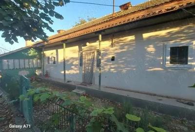 Casă cu Teren 3447 Mp în Satu Nou - 2