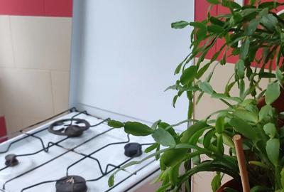 Garsonieră decomandată în Buzaului - 7