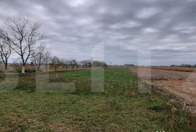 Casă cu 7 camere cu Teren 2600 Mp în Nord - 2