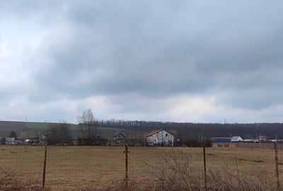 Teren Construcții intravilan de 1100 mp, în Mogoșești - 4