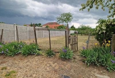 Casă cu 2 camere cu Teren 698 Mp în Cauaceu - 4