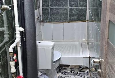 Apartament cu 2 camere decomandat în Podu Roș - 3