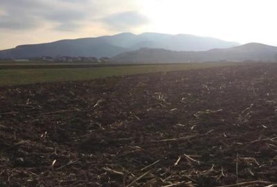 Teren de 3000 mp, în Șard - 2