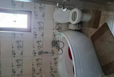 Casă cu 4 camere cu Teren 21000 Mp în Ceuaș - 5