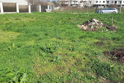 Spațiu comercial, în Palazu Mare - 5