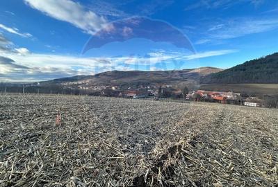 Teren agricol extravilan de 5000 mp, în Slimnic
