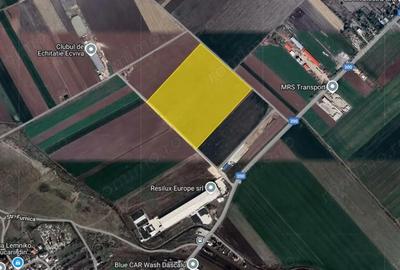 Teren de 66000 mp, în Dascălu - 6