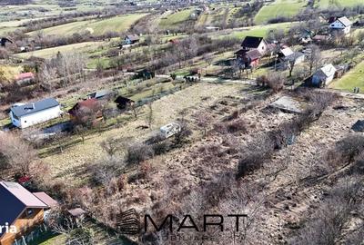 Spațiu comercial, în Cisnădioara - 5