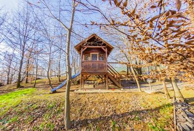 VILA DE VIS CU TEREN GENEROS, DE VANZARE - 38