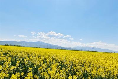 Teren agricol intravilan de 47.576999664307 mp, în Exterior Est - 5