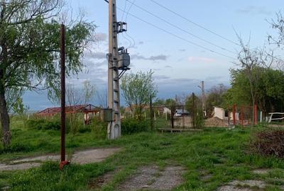 De Vânzare – Fermă de Pomi Fructiferi, 48,8 ha, Iancu Jianu, Jud. Olt - 16