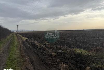 Spațiu comercial, în Șura Mică - 1