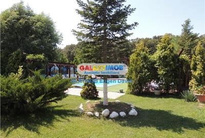 Spațiu comercial, de 4,000 mp, în Snagov - 1