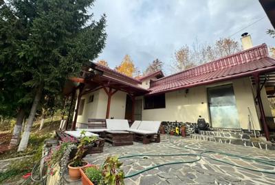 Casă cu 4 camere cu Teren 1527 Mp în Tăuții de Sus - 8