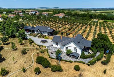 Casă cu 4 camere cu Canalizare în Drauț - 11