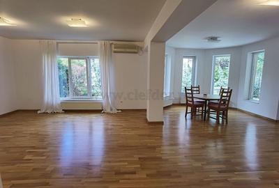 Vilă in zona Iancu Nicolae - 3