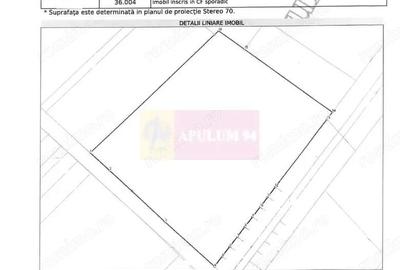 Teren de 131935 mp, în Est - 1