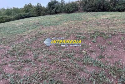 Teren intravilan de vanzare 2000 mp in Sard - 2