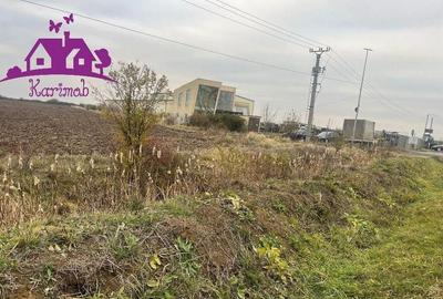 Teren pentru hale soseaua Nojorid Les - 2