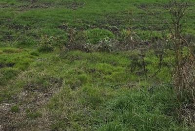 1 DECEMBRIE - TEREN 2500 MP - 1