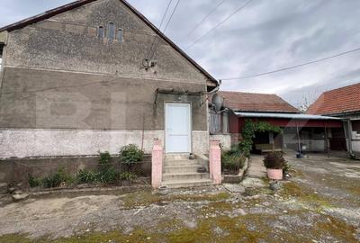 Casa 266 mp, 3992 mp teren, garaj, terasa, Topolovatu Mare-Timisoara - 9