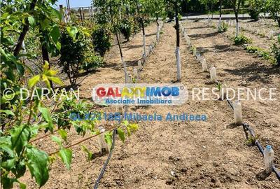 Teren in Poienari Apostoli, 21 E mp, Avantajos, DN1, 34.500 euro - 7