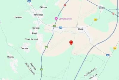 Teren extravilan Obrejita, ID: R2832813 - 3