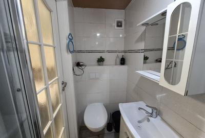 Garsonieră, mobilată în Dudești - 5