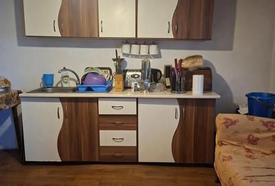 Casă cu 3 camere cu Teren 3404 Mp în Răchita - 1