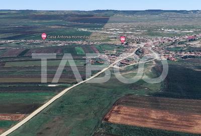 Teren de vanzare extravilan 30000 mp Sura Mare Sibiu - 1