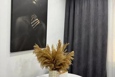 Apartament cu 2 camere decomandat în Iancului