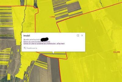 Teren Extravilan Corni, Cota parte 1/2, ID: R2581783 - 13