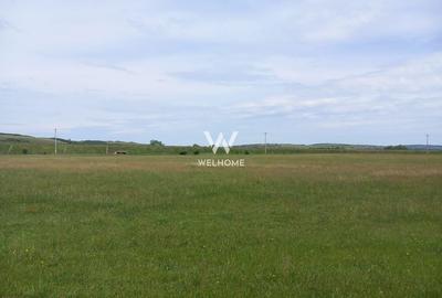 Parcele de teren intravilan - Mohu - Sibiu - 3