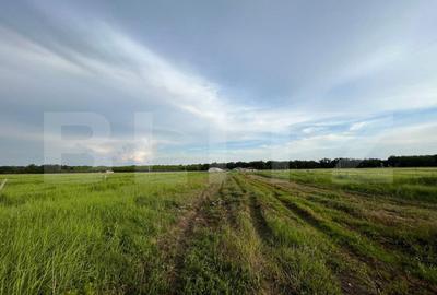 Teren Construcții intravilan de 23500 mp, în Bucovăț - 8