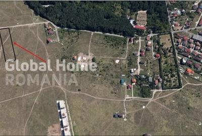 Teren Intravilan 5000 MP | Padurea Baneasa | Front stradal 25 MP |