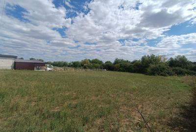 Descoperă o oportunitate rară: Teren intravilan- 2.000 mp în Zădăreni - 4