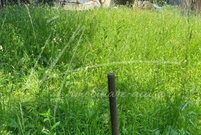 Teren intravilan cu casa- 1740 mp. in Provita de Sus-PH - 33