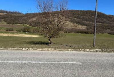 Teren de 7056 mp, în Mica