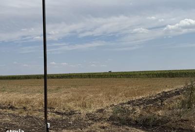 Teren de 590 mp, în Belciugatele - 4