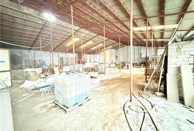 Hala industriala de inchiriat in Cisnadie 1173 mp - 6